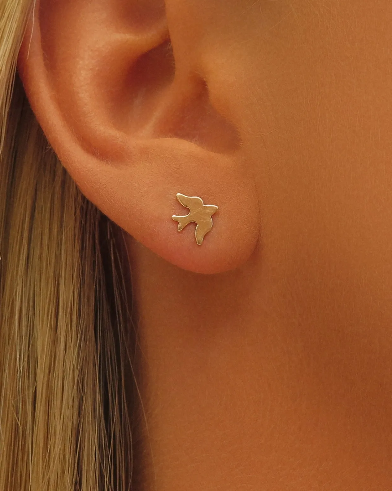 Dove Stud Earrings - 14k Yellow Gold Fill